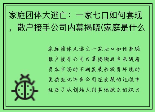 家庭团体大逃亡：一家七口如何套现，散户接手公司内幕揭晓(家庭是什么意思)